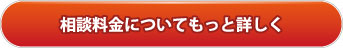 相談料金についてもっと詳しく