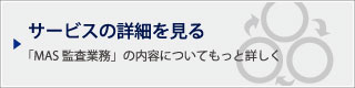 サービスの詳細を見る｜「MAS監査業務」の内容についてもっと詳しく